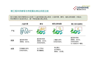 我們希望成為未來生物醫(yī)藥原材料蛋白的顛覆者,默克是我們的目標
