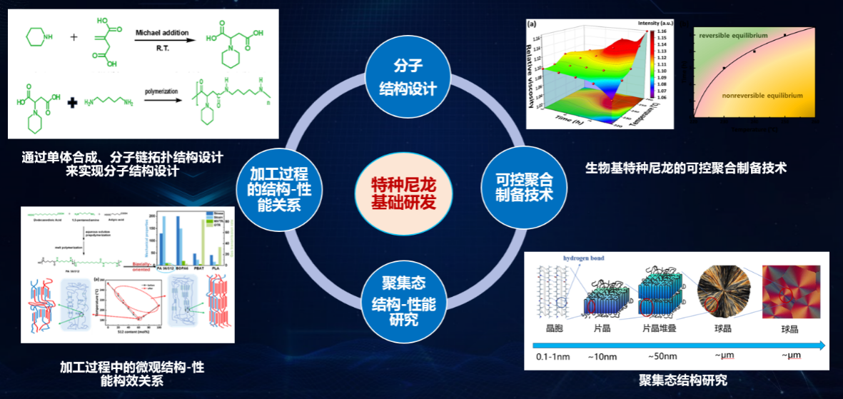 打破國際壟斷，書寫國產新材料新篇章 榕江實驗室生物基尼龍創新團隊榮獲省賽團體組三等獎